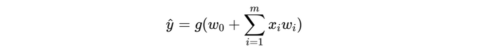 Perceptron Equation